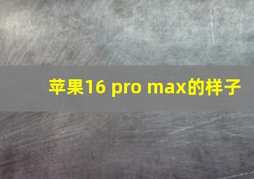 苹果16 pro max的样子